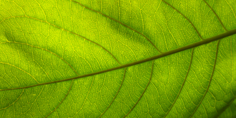 Sustentabilidade Hunter Douglas