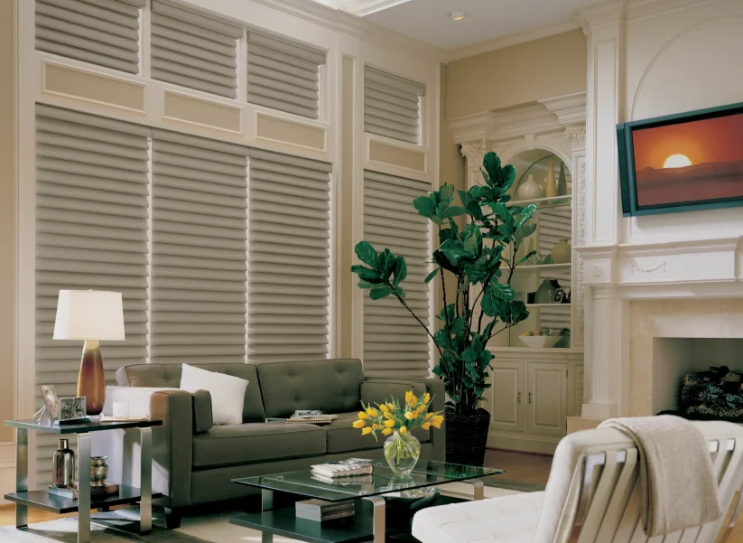 8-vigtraditional_powerrise_livingroom