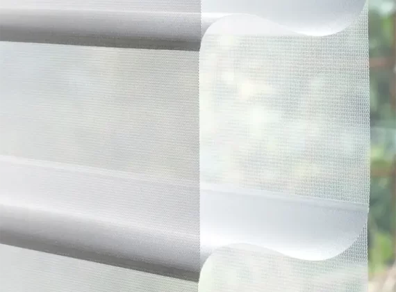 Silhouette 1-1